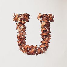 36 Days of Type 2015 Ein Projekt aus dem Bereich Bildende Künste, Kalligrafie, Grafikdesign, Traditionelle Illustration, T, pografie und Design von Loor Nicolas - 11.04.2015