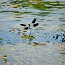 Rinconcitos varios entre Cantabria y Bilbo. Photograph project by aroalm - 06.28.2016