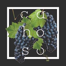 Cahoso. Br, ing, Identit, Art Direction, Product Design, Photograph, Packaging, and Advertising project by Diego Muñoz - 06.30.2016