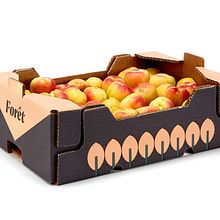 Fôret (albaricoques). Design, Graphic Design, Naming, and Packaging project by Nueve Estudio - 07.03.2016
