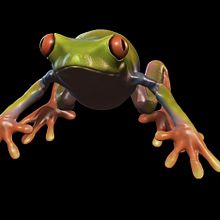rana zbrush. 3D project by David Álvaro Martín - 07.03.2016