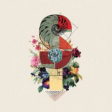 Siempreviva. Un progetto di Br, ing, Br, identit e Design di Raquel Marín Álvarez - 03.07.2016