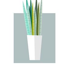 Mis cactus. Design, Graphic Design, and Traditional illustration project by Marisa Redondo - 07.04.2016