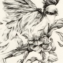 Litografía en poliester II. Arts, Crafts, Fine Arts, and Traditional illustration project by Belén Moreno - 07.05.2016
