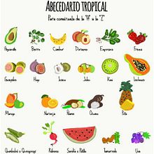Abededario Tropical de la "A" a la "Z". Fine Arts, Design, Education, Traditional illustration & Infographics project by Valentina Urdaneta Urdaneta - 07.06.2016