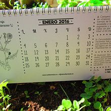 Calendarios ecológicos. Graphic Design project by Fernando Gonzalez - 07.06.2016