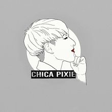 Chicapixie. Social Media, Br, ing, Identit, and Marketing project by Fernanda Rodriguez - 02.01.2016