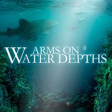 ARMS ON WATER DEPTHS · FILM POSTER PROJECT. Un progetto di Cinema, Collage e Graphic design di Patricia Reyes - 12.07.2016