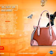 campaña contra el maltrato animal. Design, and Advertising project by Cristian Espeza Cruz - 07.19.2016