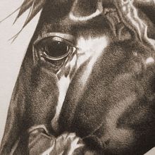 Big Horse. Design, Graphic Design, and Traditional illustration project by Maikel Martínez Pupo - 07.19.2016