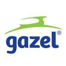 Proyecto: Empresa Gazel . Marketing project by NasHla Reyes - 07.25.2016