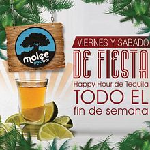 Molee Bar. Programming, Web Development, Art Direction, Design, Automotive Design, Product Design, Graphic Design & Interactive Design project by Vecorta Multimedios - 07.25.2016