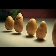 Spot Tierra de Sabor. Animation, Film, Video, TV, and Stop Motion project by Coke Riobóo y Lourdes Villagómez - 01.23.2009