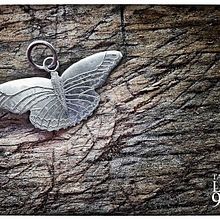 Mirando al Bosque a través de la Orfebrería Ein Projekt aus dem Bereich H, werk und Schmuckdesign von Paulina Vega - 19.10.2013