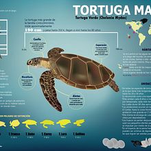Poyect UDG. Design, Graphic Design, Traditional illustration & Infographics project by Roxa muñoz - 08.01.2016