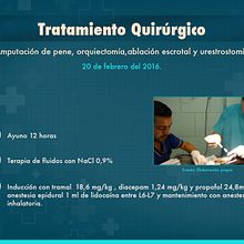 Presentación para Power Point Copyright © Todos los Derechos Reservados Ein Projekt aus dem Bereich Design von Patricia Calderón Jiménez - 05.08.2016