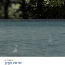 Qualia Cut #001. Film, Film, Video, TV, Art Direction, Multimedia, Music, Photograph, Post-production, and Video project by Alfonso Cruz - 08.09.2016
