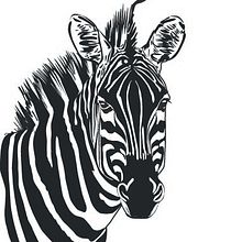 cebra illustrator. Un proyecto de Diseño de Estela Calero Varszafski - 10.08.2016