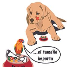 Perro y pajaro Illustrator. Un proyecto de Diseño de Estela Calero Varszafski - 10.08.2016