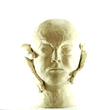 "Metamorphosis" Svankmajer - Stop Motion. Animation, Film, Film, Video, TV, Art Direction, Character Design, Sculpture, Photograph, Photograph, Post-production, Sound Design, Stop Motion, Video, Fine Arts, Design, Lighting Design, Set Design, and Music project by Sara G.F. Muriel - 08.14.2016