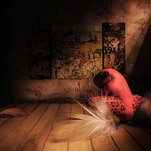 La ley de Benedetti; Rana roja venenosa.. Fine Arts, Set Design, Sculpture, and Photograph project by Juan José Rojas - 08.15.2016