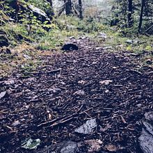 Nature. Fotografia projeto de Adriana Espínola Plaza - 15.08.2016