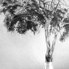 Rotonda. Un proyecto de Arquitectura de _miguelangelruiz_ - 15.08.2016