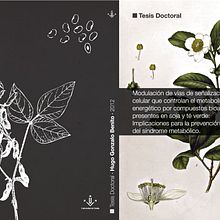 Maquetación Portada y Contraportada (Tesis Doctorales). Graphic Design project by GUSTAVO HIDALGO FERNANDEZ - 08.16.2014