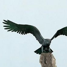 Aguila. Un proyecto de Escultura de _miguelangelruiz_ - 16.08.2016