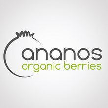 Diseño de Logo_Ananos. Un proyecto de Br, ing e Identidad, Diseño gráfico y Naming de Laura Alabau Rodríguez - 17.08.2016