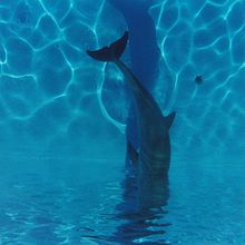 LightColor. Fotografia projeto de Silvia Ambrós - 30.08.2016