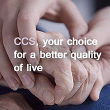 CARE SERVICES. Graphic Design, and Web Design project by María Criado - 04.18.2014