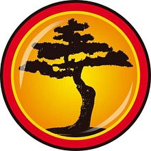 Bonsai Sushi. Direção de arte, Design gráfico, e Gestão de design projeto de Alejandra Iglesias Lourés - 23.08.2008