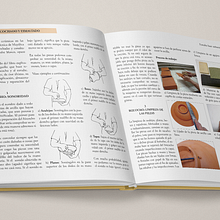 Diseño del interior de "La técnica mayólica" de Susan Mussi. Editorial Design project by Juan José López García - 10.31.2015