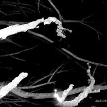 Proyecto Personal_Todo está iluminado*. Fotografia projeto de Ana Darder Pizá - 28.08.2016