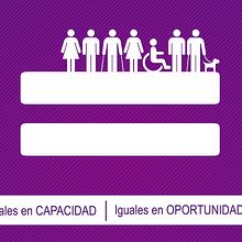 Empleo y Discapacidad 2013 - Imagen y Material Gráfico. Un proyecto de Diseño, Diseño editorial y Diseño gráfico de Nuria Muñoz - 29.08.2016