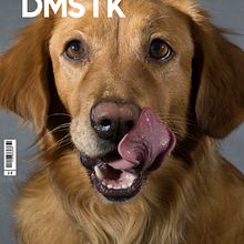 Mi Proyecto del curso: Con flash y a lo loco. Un progetto di Fotografia di Pili Zozaya - 20.10.2016