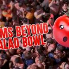 Tomatina. Film, Video, and TV project by Beatriz Turumbay Hernández - 09.03.2016