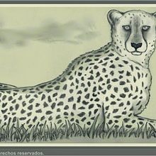 Ilustracion (en lapiz y photoshop). Traditional illustration project by Adrian Filippo - 09.04.2016