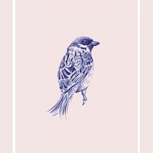 Birds I. Un proyecto de Bellas Artes e Ilustración tradicional de Cristina Iglesias - 07.09.2016