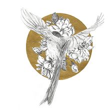 Cercle I. Un proyecto de Bellas Artes e Ilustración tradicional de Cristina Iglesias - 07.09.2016