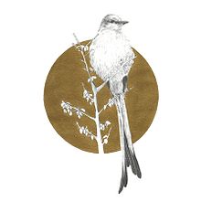Cercle III. Un proyecto de Bellas Artes e Ilustración tradicional de Cristina Iglesias - 07.09.2016