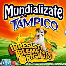 Mundializate de Tampico®. Accessor, Design, Graphic Design, and Advertising project by Lina Marcela Copete Lozano - 09.13.2016