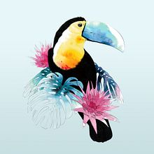 Toucan. Design, and Traditional illustration project by Natalia Escaño - 09.17.2016