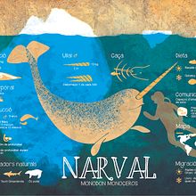 Narval. Un proyecto de Ilustración tradicional de Clara Fort - 18.09.2015