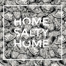 H O M E _ S A L T Y _ H O M E. Un proyecto de Br, ing e Identidad, Diseño de producto e Ilustración tradicional de Andrea Xoana - 20.09.2016