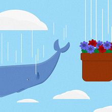 Ilustración/animación de la ballena y las petunias. Animation, and Traditional illustration project by ed_valcas - 09.21.2016