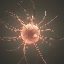 Cell (Cinema 4D). 3D, and Design project by renerene - 09.22.2016