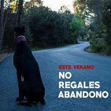 Campaña contra Abandono. Un proyecto de Fotografía, Post-producción fotográfica		 y Publicidad de Cristina T. Aragón - 26.09.2016