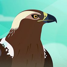 WWF · Doñana. Un proyecto de Animación, Dirección de arte, Ilustración tradicional y Motion Graphics de Lucas Martínez Martínez - 27.09.2016